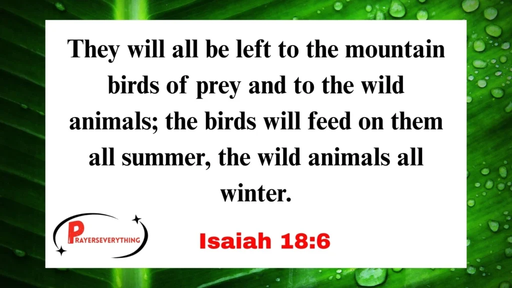 Isaiah 18:6