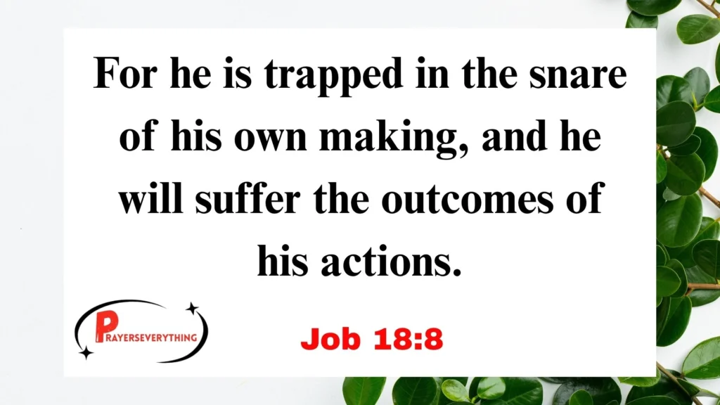 Job 18:8