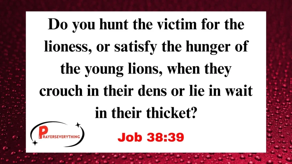 Job 38:39
