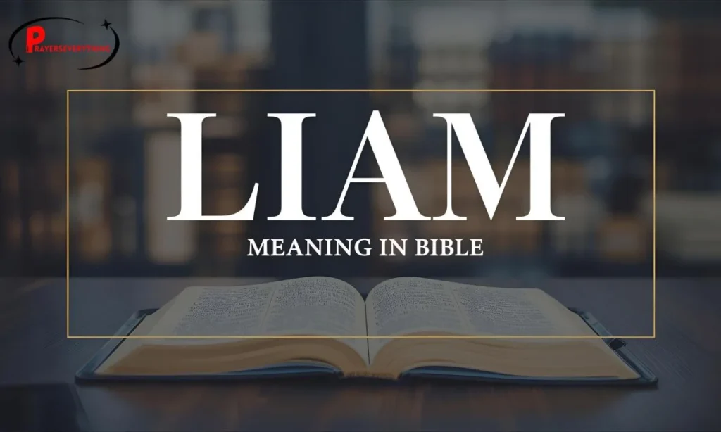 Liam Meaning in Bible