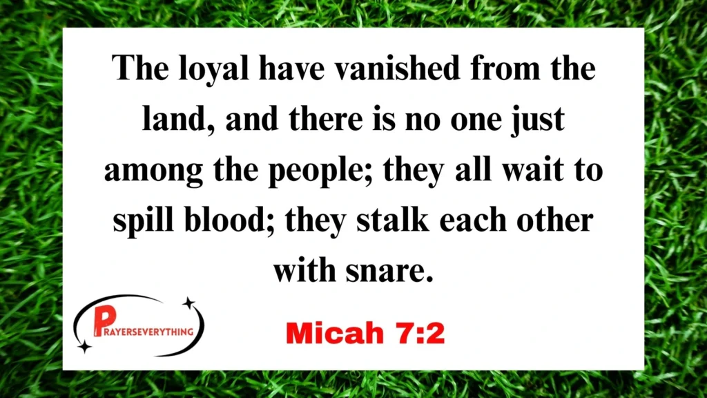 Micah 7:2