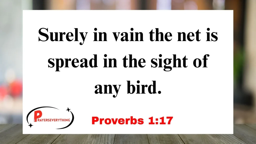 Proverbs 1:17