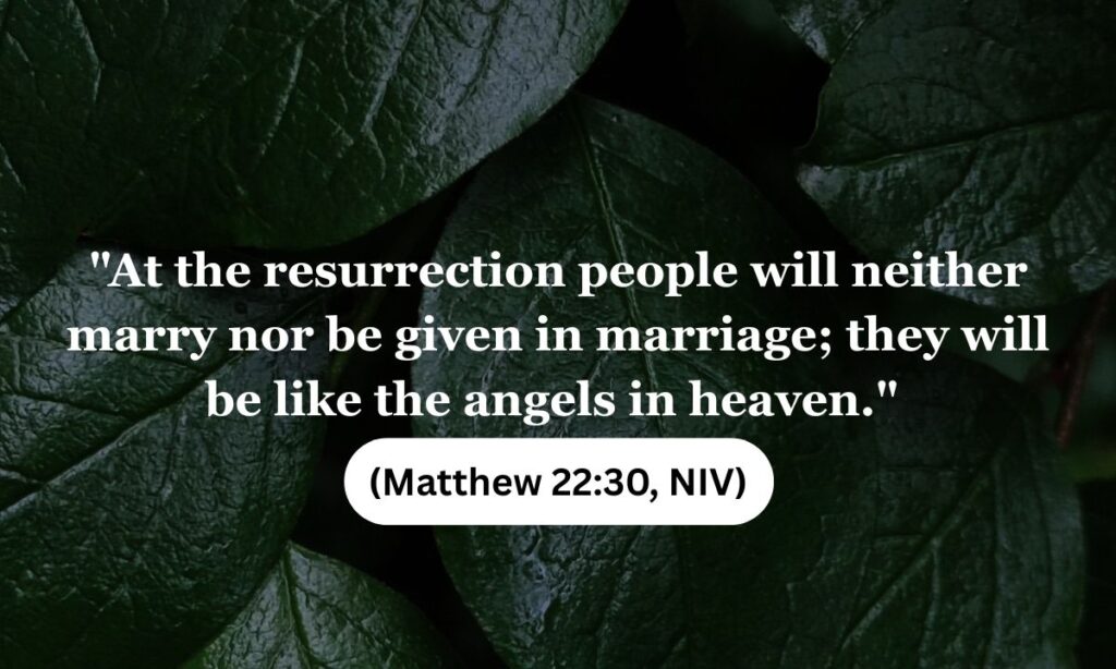 Addressing the Hurdle What Does Jesus Say About Marriage in Heaven