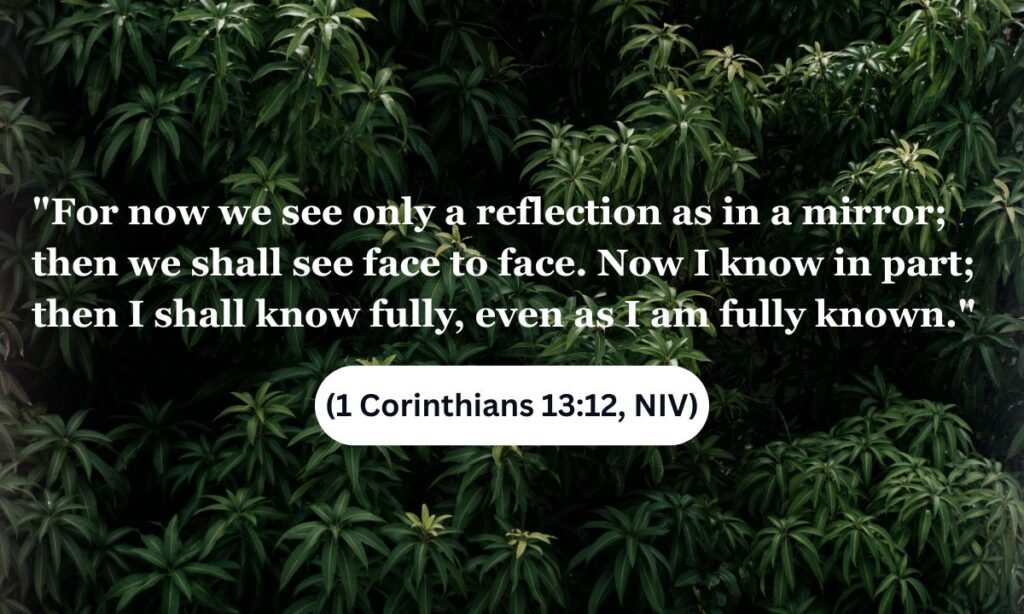 Will We Know Our Spouses in Heaven? A Resounding Biblical "Yes"