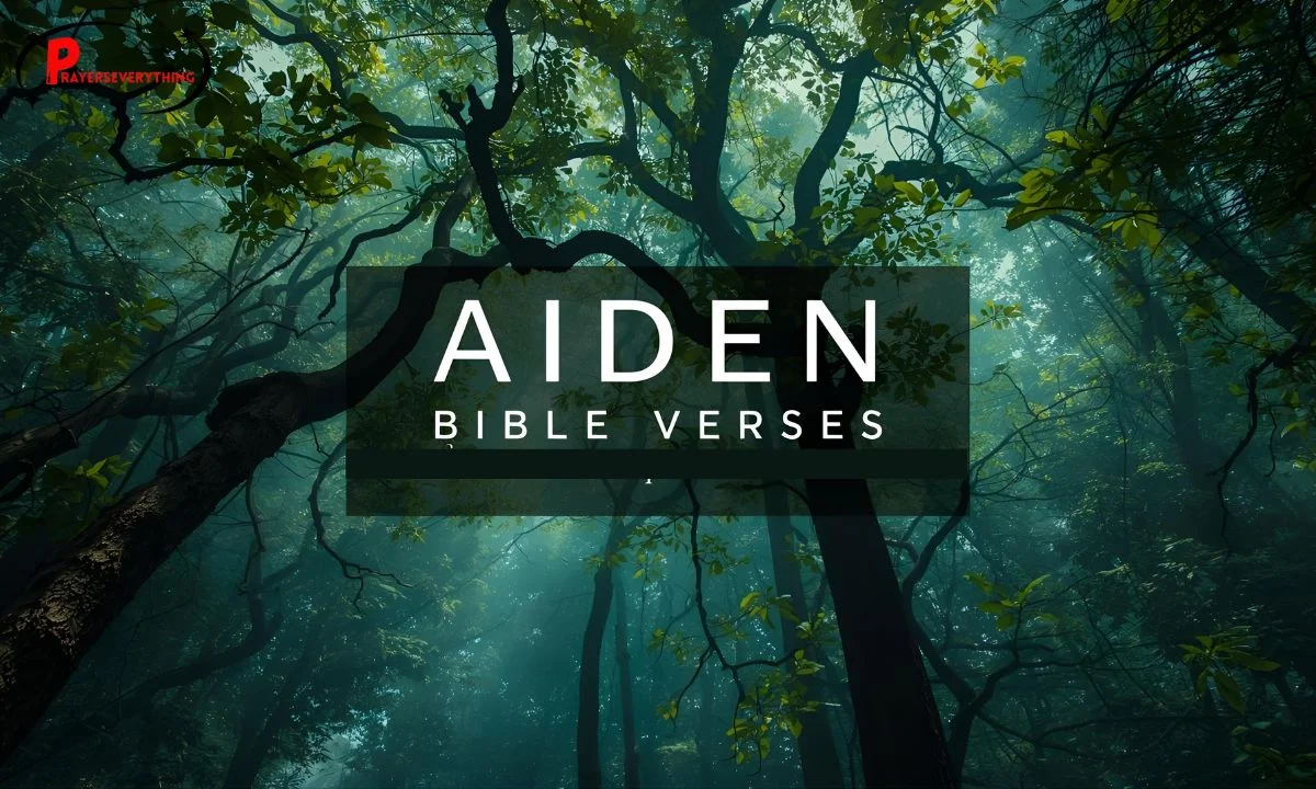 Aiden Bible Verse: A Source Of Inspiration And Reflection